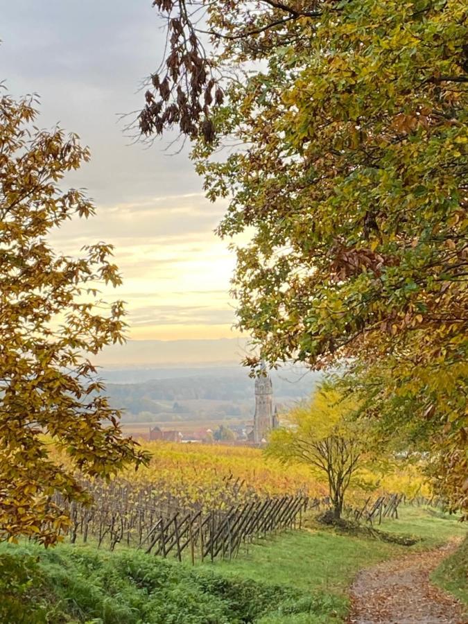 Gite Des Forgerons Dambach Exteriér fotografie