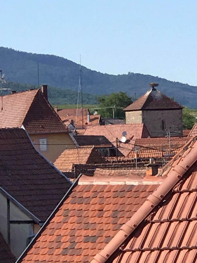 Gite Des Forgerons Dambach Exteriér fotografie